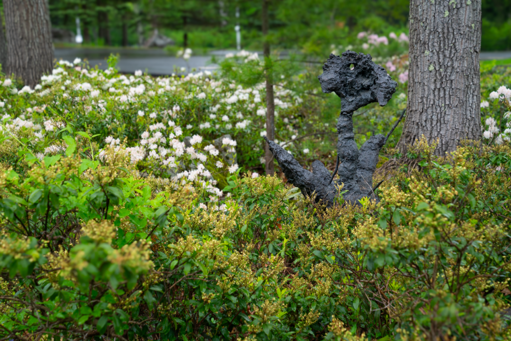 Photo of a bronze sculpture by artist Patrick Jacobs, entitled "Scarecrow" installed in a bed of Azaleas that are in bloom
