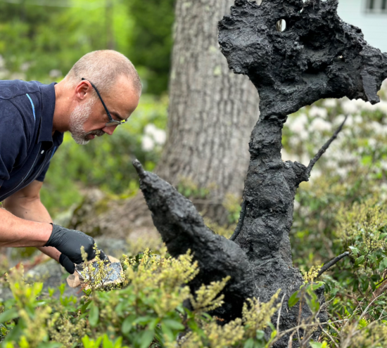 Visual Artist Patrick Jacobs installs bronze statue 