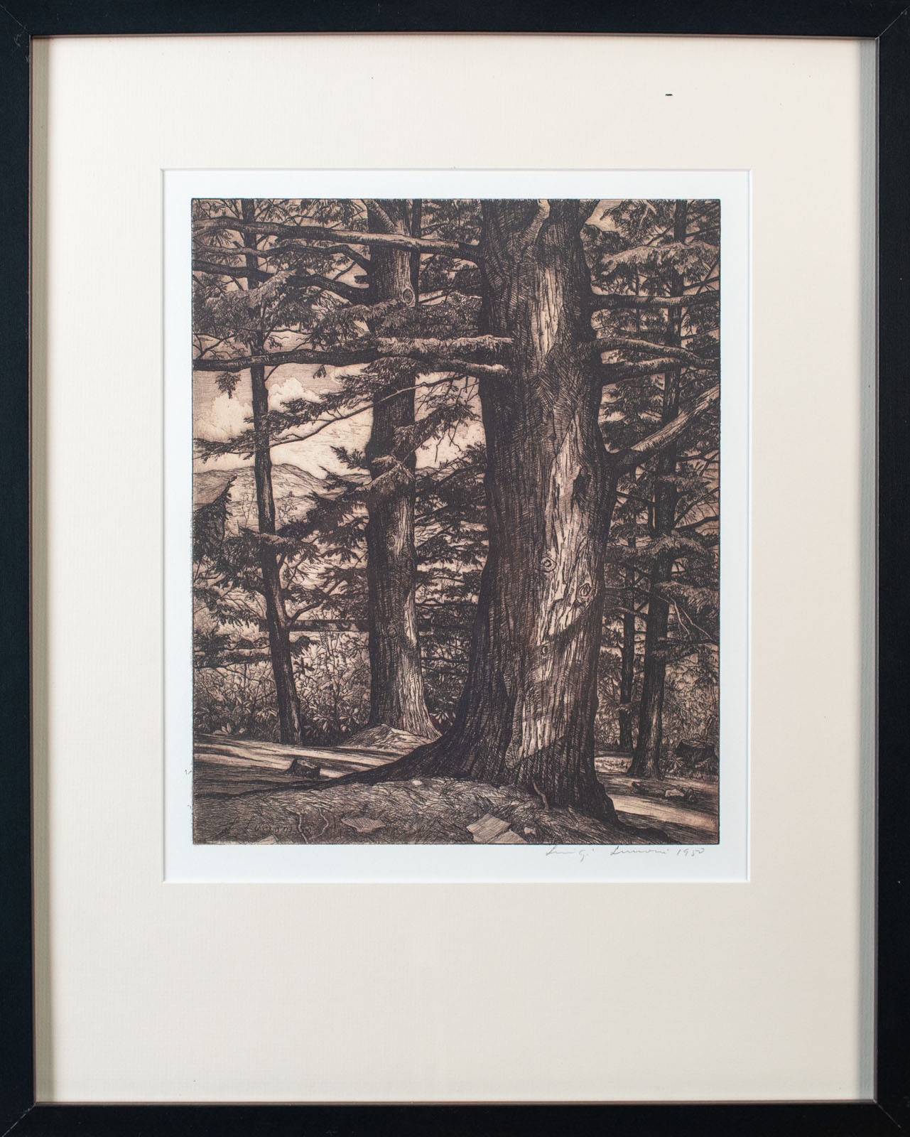 Poconos Through the Hemlocks